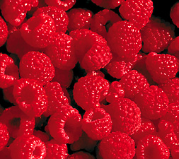 Eat Berries for Sweet Health Benefits Image